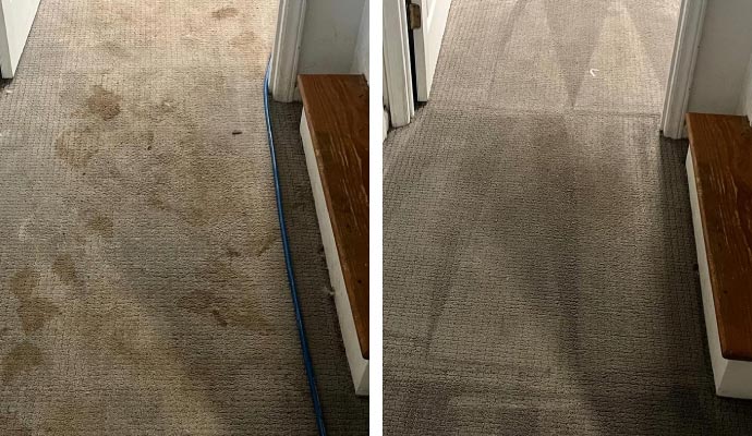 Before and after of carpet discoloration repair service