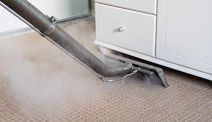 Professional technician steam cleaning a residential carpet