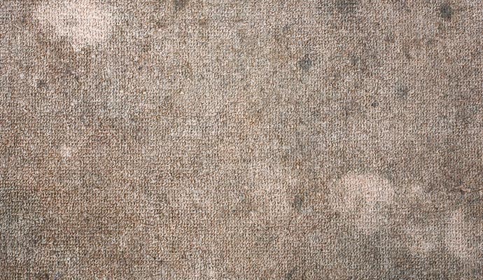 Mold damaged carpet