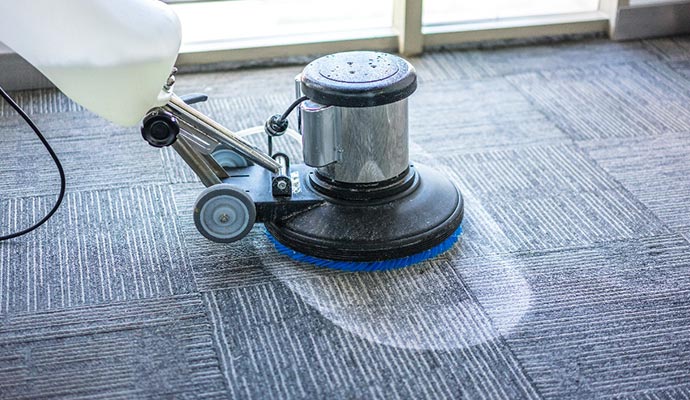 Carpet shampoo cleaning service
