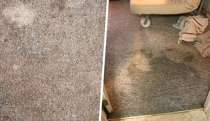 Discolored and water damaged carpets