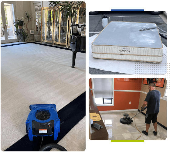 Carpet Cleaning
