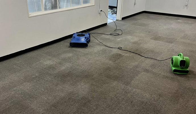 Water damage carpet restoration service