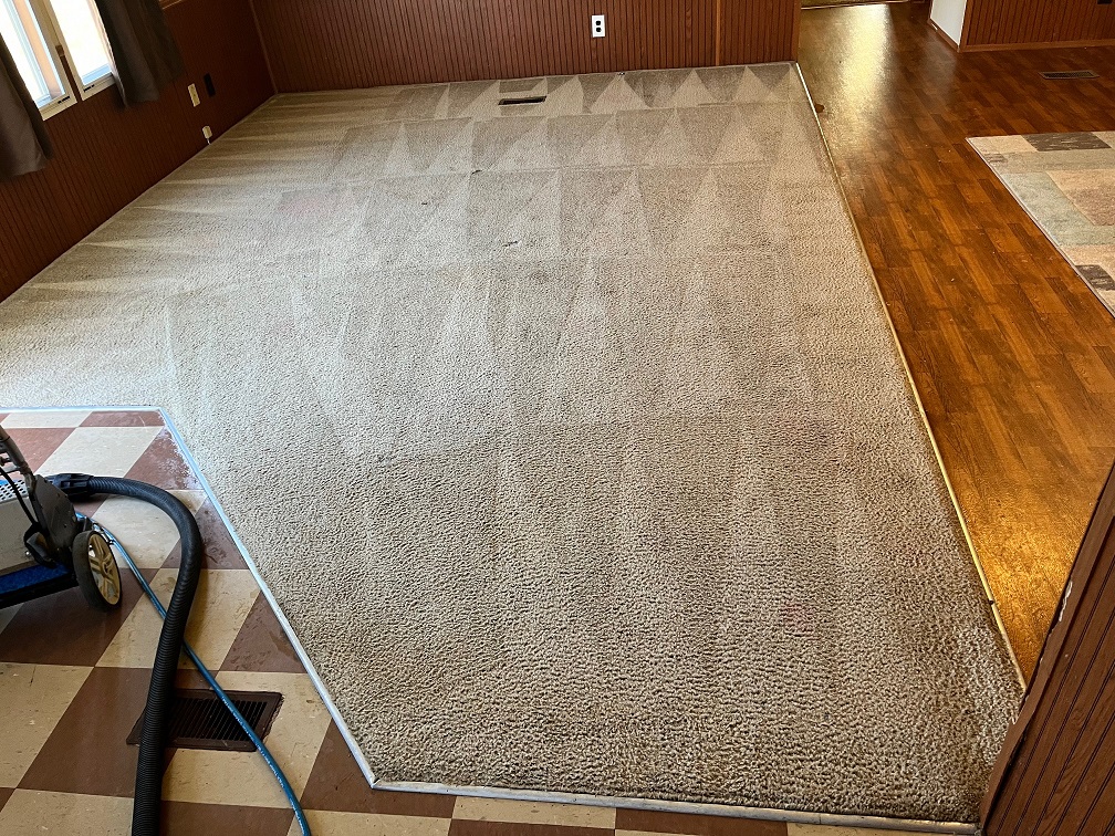 Carpet Cleaning - Gastonia NC