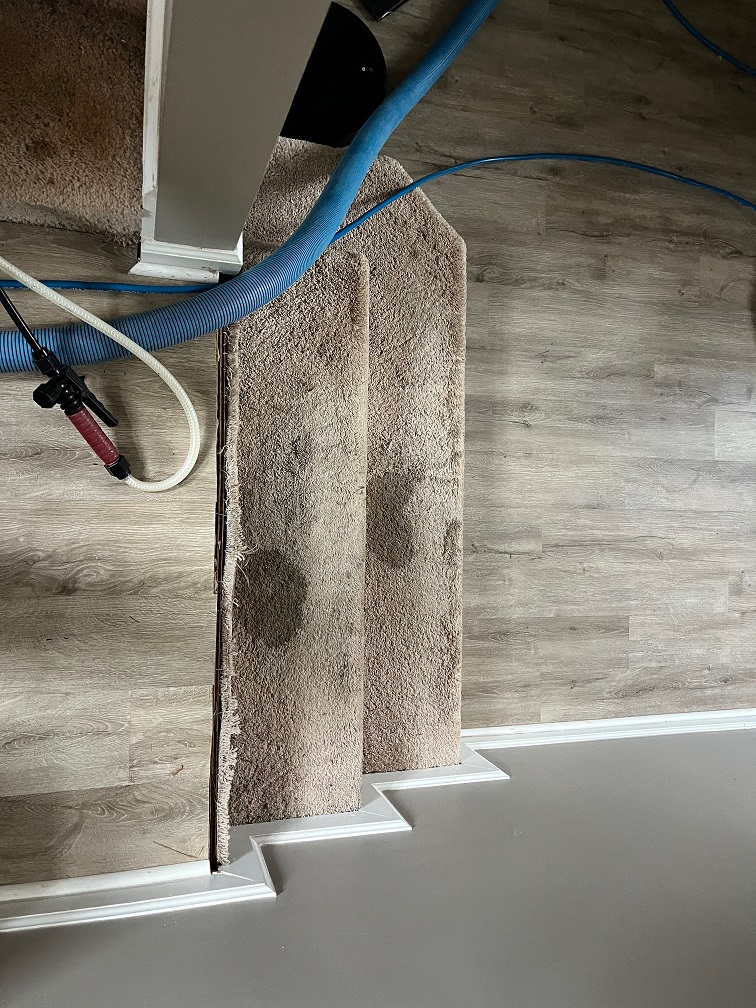 Carpet Cleaning Steps