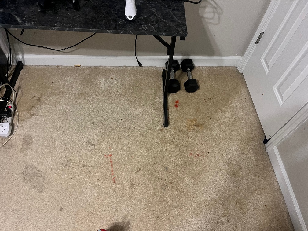 Carpet Stains