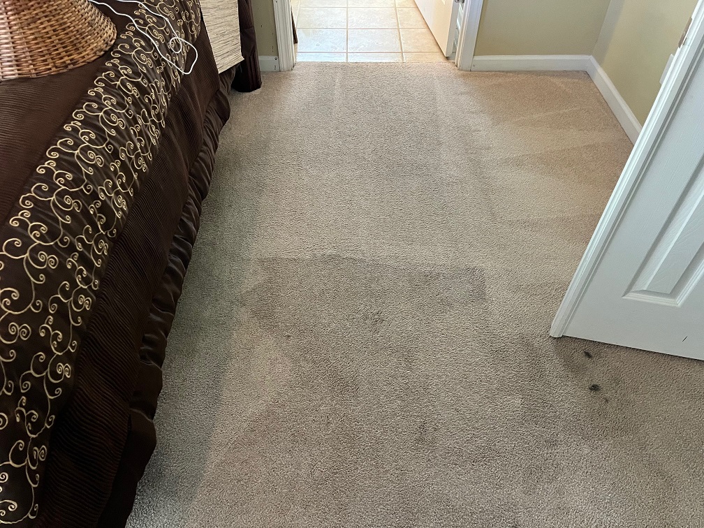 Carpet Cleaning - Fort Mill
