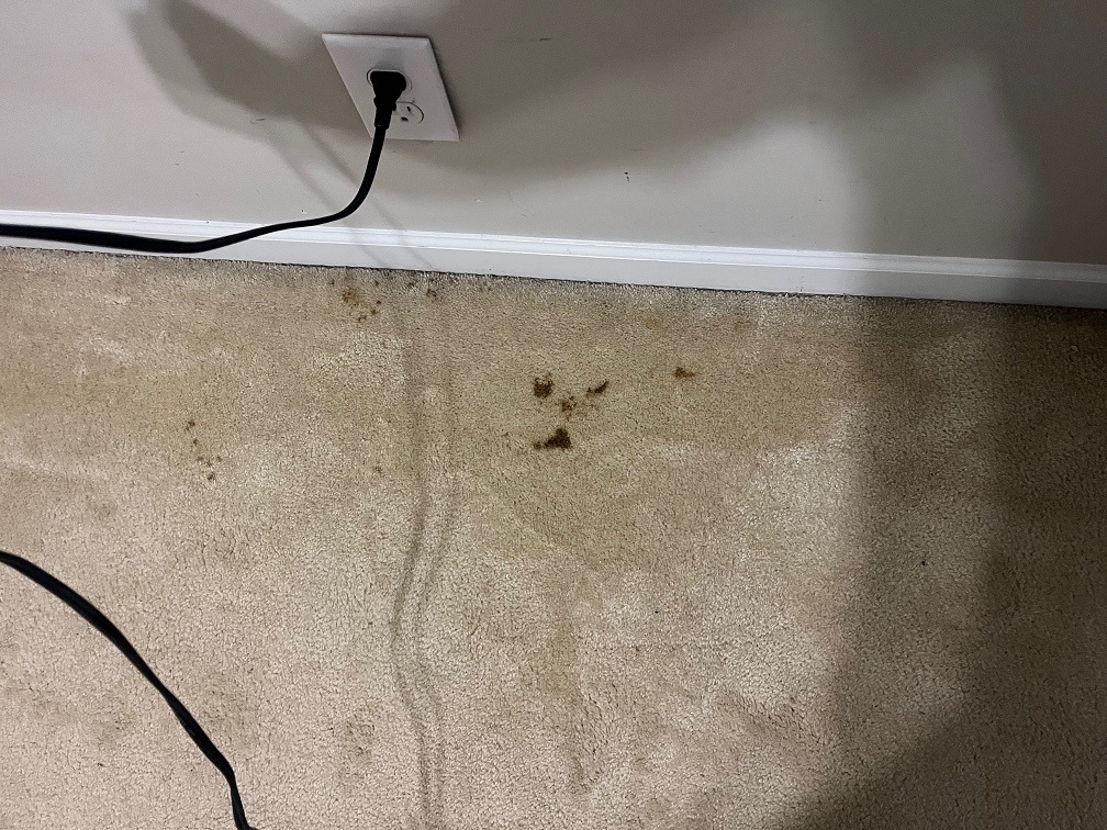 Stain Removal