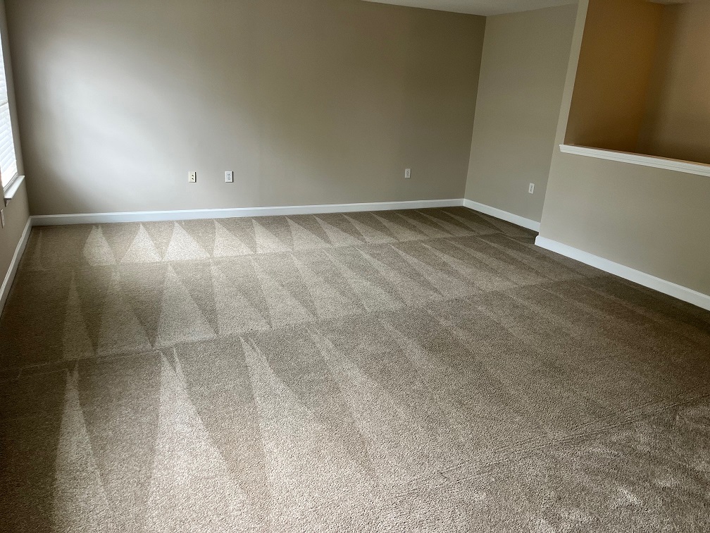 Carpet Cleaning - Monroe