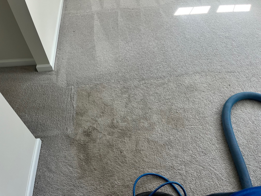 Carpet Before Cleaning