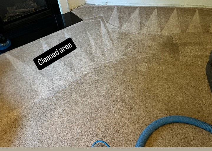 Carpet Cleaning - Charlotte