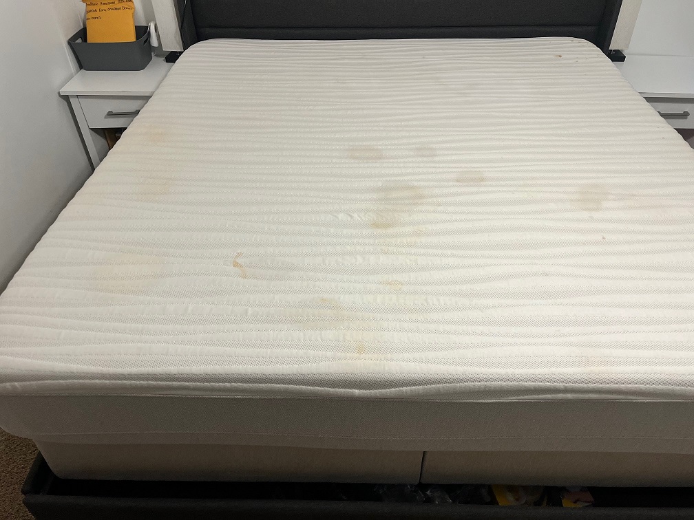 Mattress Cleaning