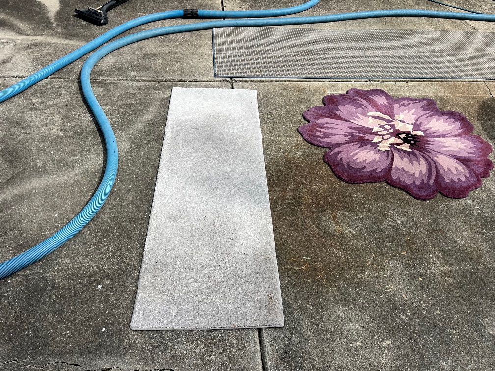 Area rug - Nia S.