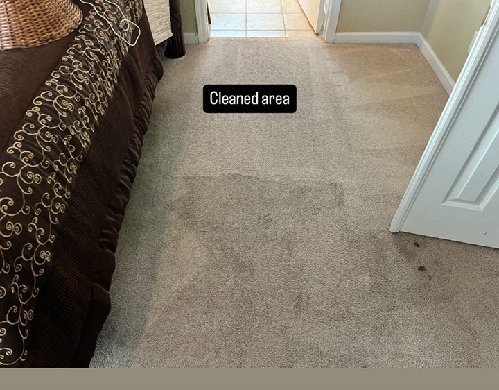 Carpet Cleaning - Karen M.