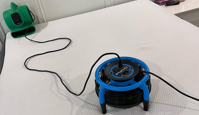 Professional mattress cleaning using equipment