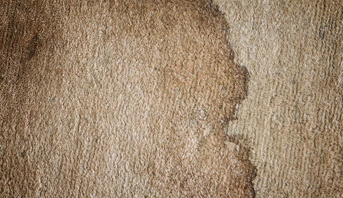 Old and Dried Stain Removal from Carpet in Charlotte