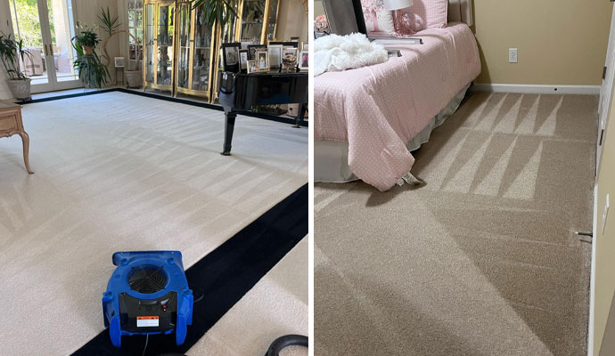 Collage of clean carpet living room and bedroom