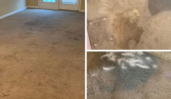 Collage of faded and discolored carpet