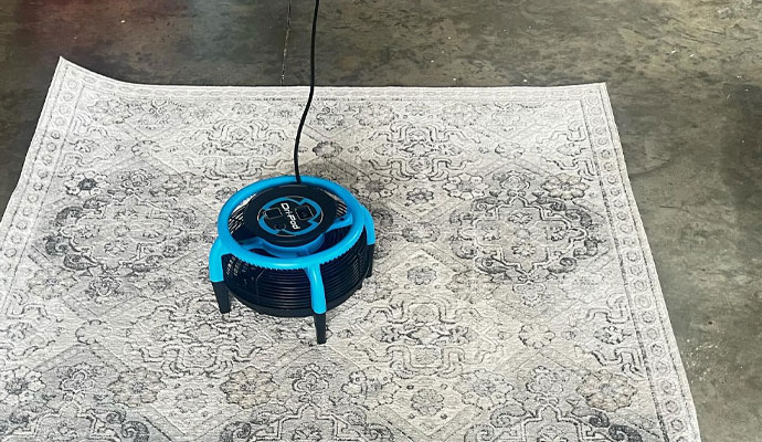 A blue Dri-Pod floor dryer placed on a area rug for fast cleaning
