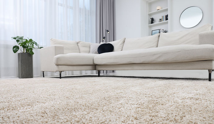 Cigarette Smoke Odor Removal from Carpets in Charlotte