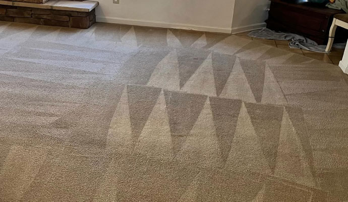 Freshly cleaned carpet showing uniform vacuum and cleaning patterns in a living room
