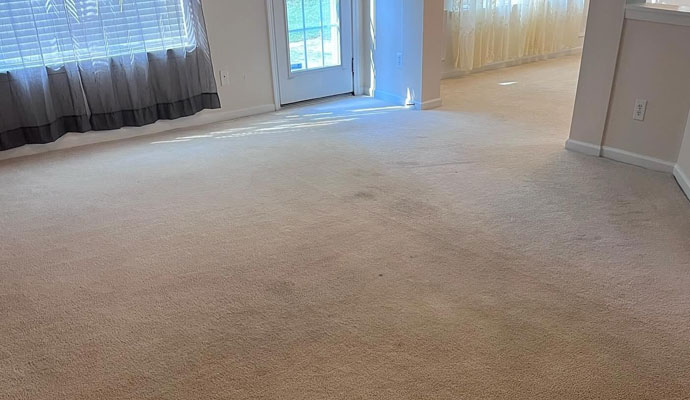 A wide shot of a spacious living room featuring clean, plush beige carpeting with visible vacuum lines near a glass door.