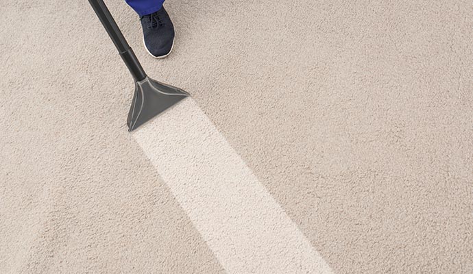 Professional stain removal service Professional stain removal service