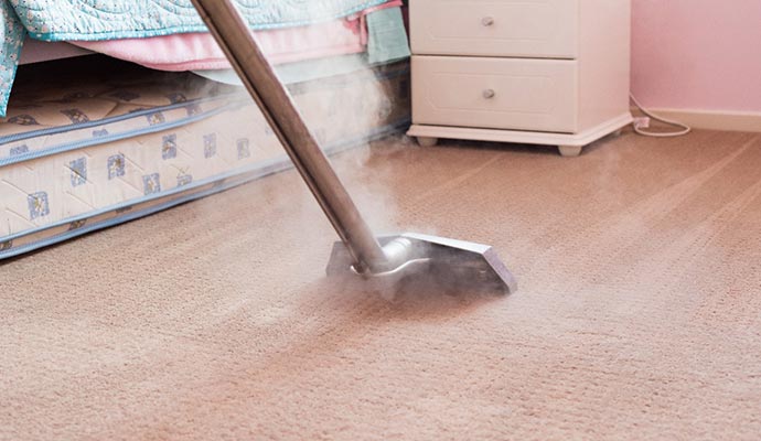 Steam cleaning service